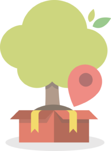 Treedom, un arbre planté en guise de cadeau de Noël